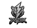 Jaybik.com
